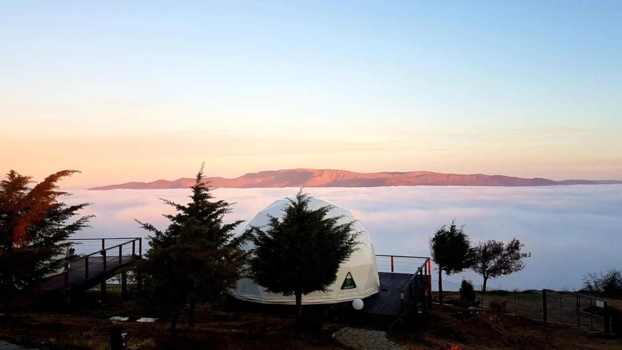 Natura Glamping Alcongosta 외부 사진