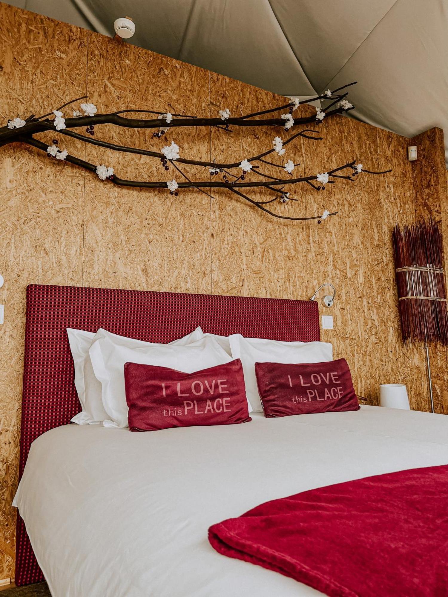 Natura Glamping Alcongosta 외부 사진